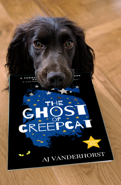 The Ghost of CreepCat, Standalone Novella (Hardcover)