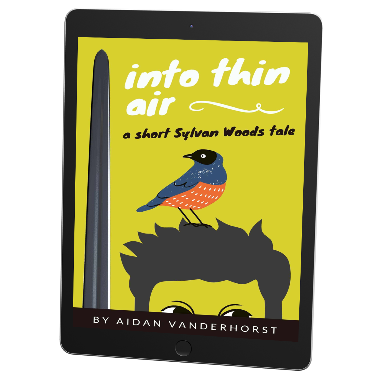 Your FREE Copy of Into Thin Air (eBook)